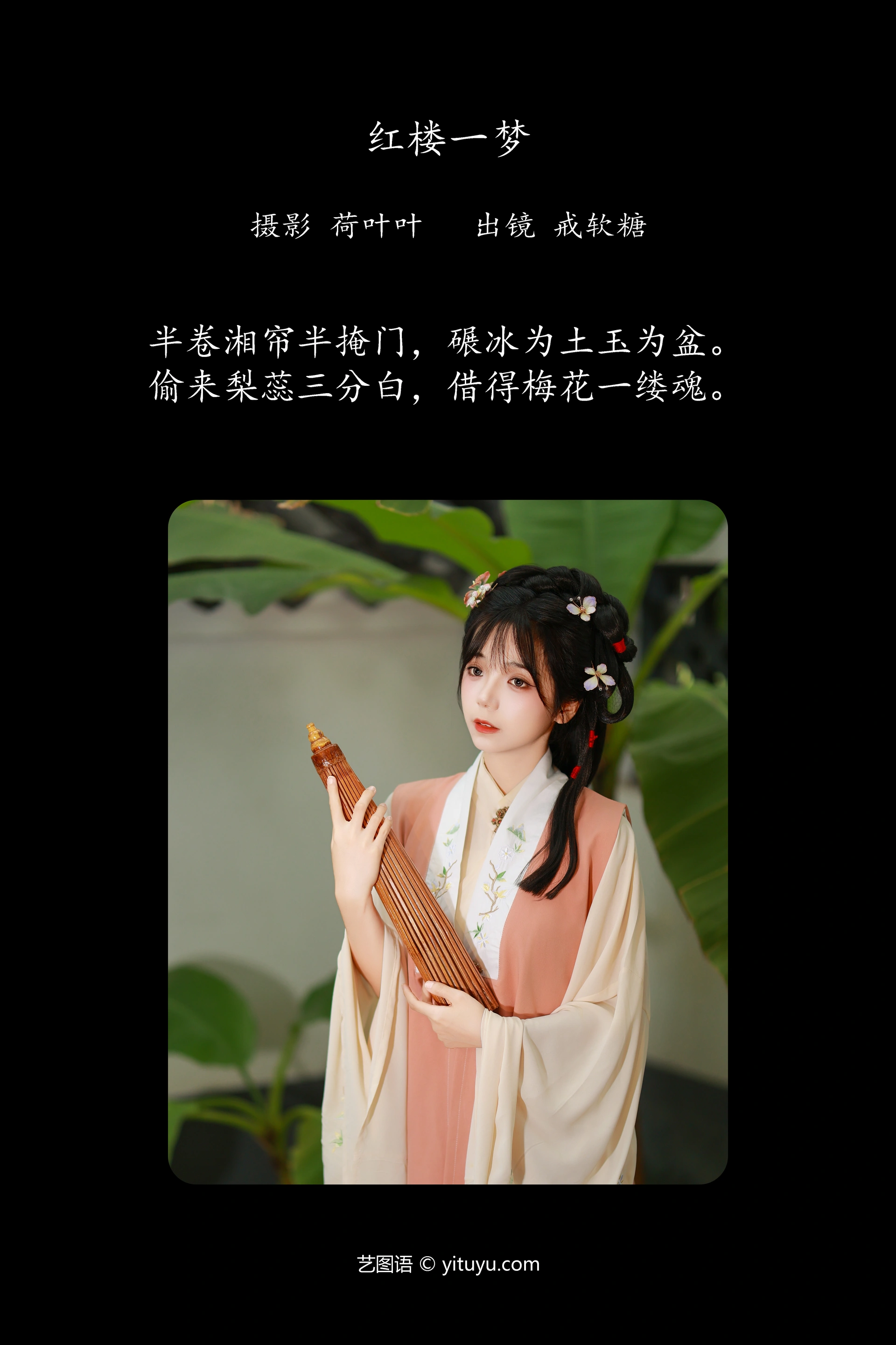 [YITUYU艺图语]2024.12.08 红楼一梦 戒软糖 1
